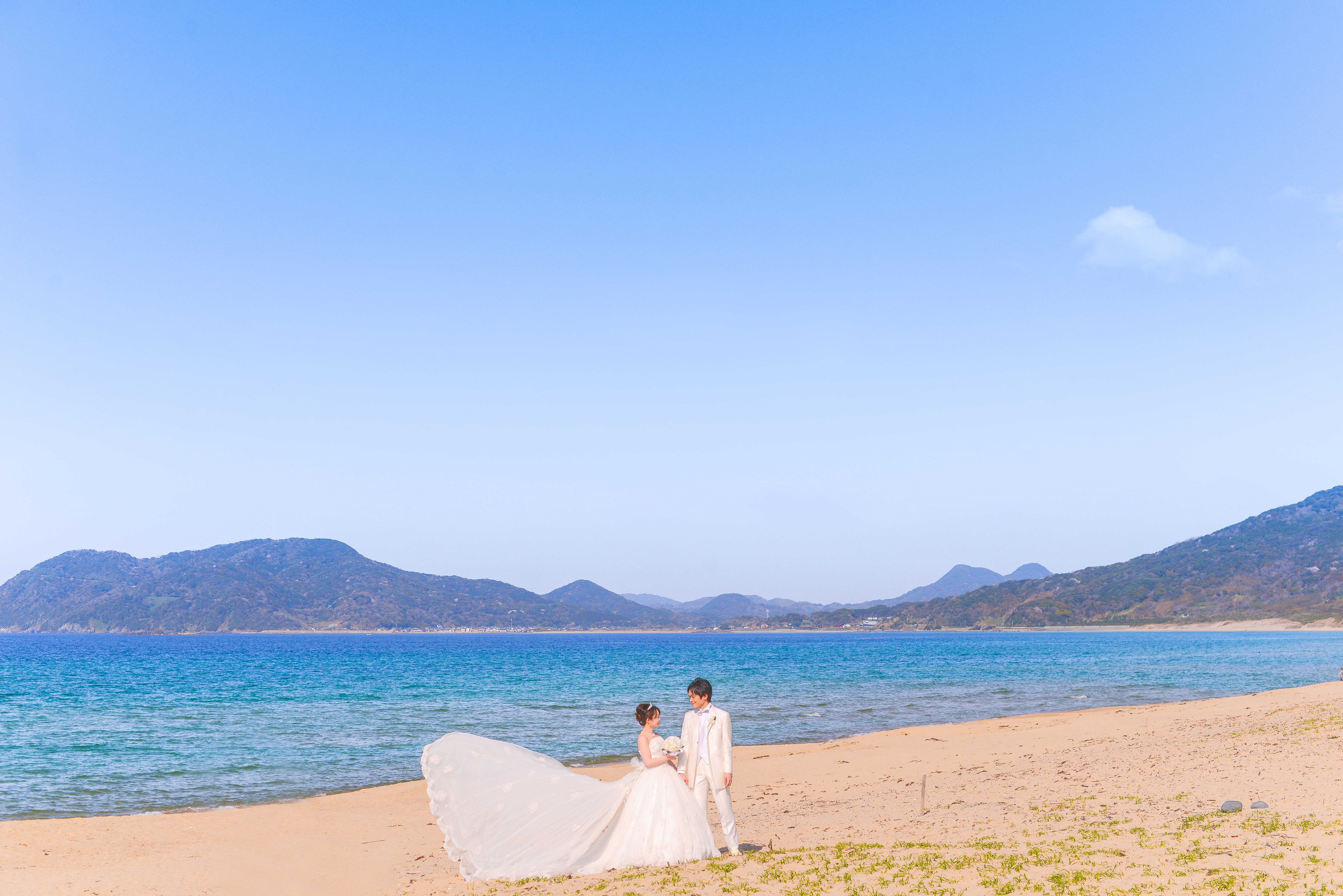 ムービープラン